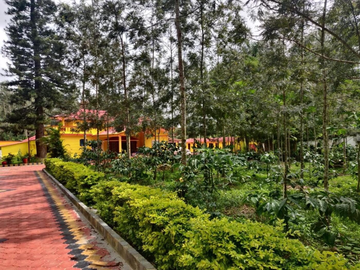 Coffeebean Villa - Unwind & Rejuvenate Sakleshpur Exterior foto